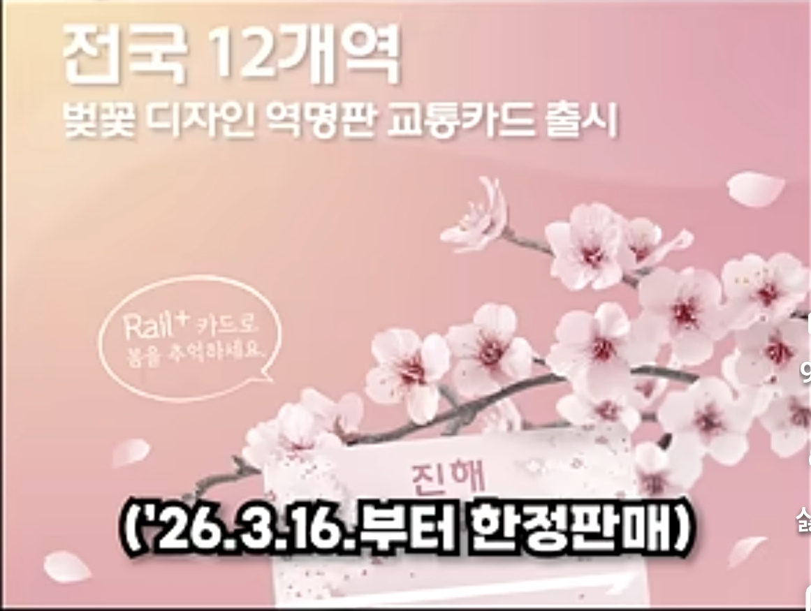 전국 12개역에서만 판매한다는 한정판 벚꽃 교통카드 | 인스티즈