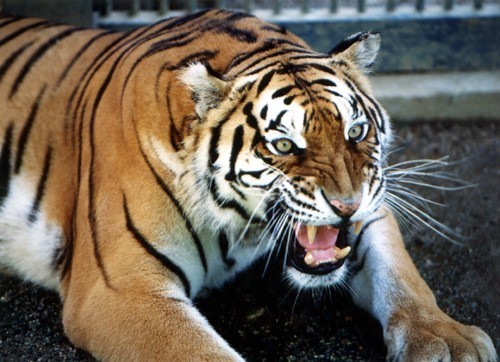 왜 많은 덕후들이 리버스를 싫어하는가?(feat.신리멸) | 인스티즈