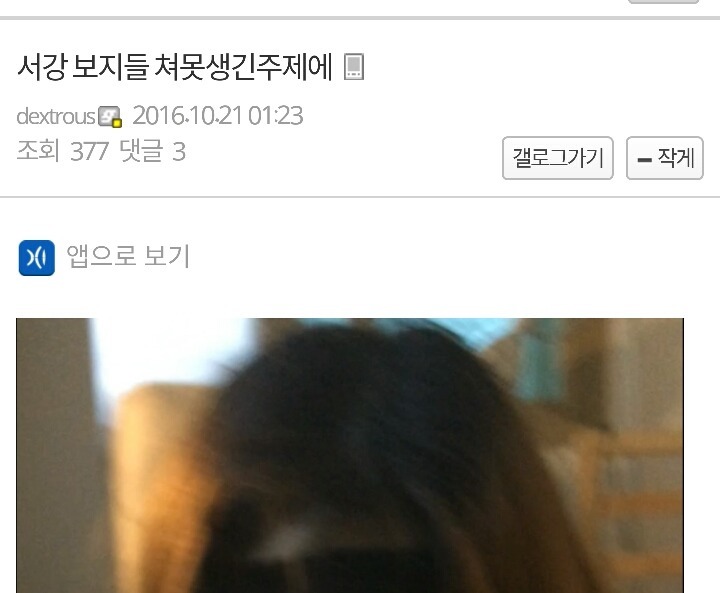 심각한 수준의 서강대학교 갤러리 글들.jpg (혐오주의) | 인스티즈