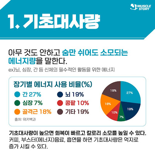 초절식 하지말고 운동해서 살 빼야하는 이유 | 인스티즈