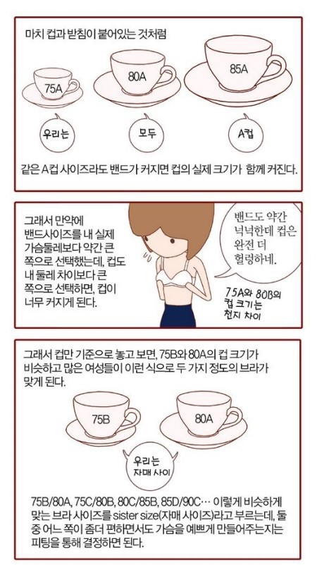 솔직히 A컵이면 너무 작은거아니냐; | 인스티즈