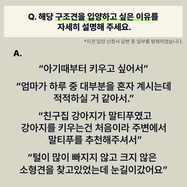 유기견 입양 = 공짜로 어린 품종견 입양이라고 생각하는 사람들 많은듯.. | 인스티즈