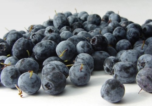 먹자마자 동안된다는 아사이베리 | 인스티즈