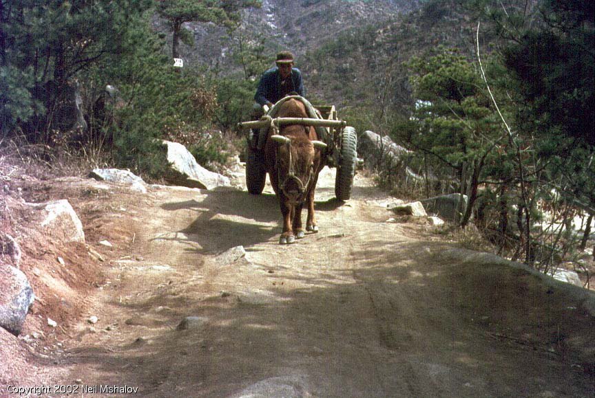 1969년 대한민국의 일상 사진.jpg | 인스티즈