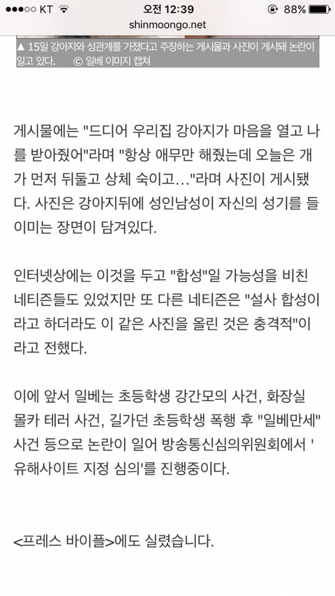 구글에"강아지랑 하기"를 검색하면 (혐오주의) | 인스티즈