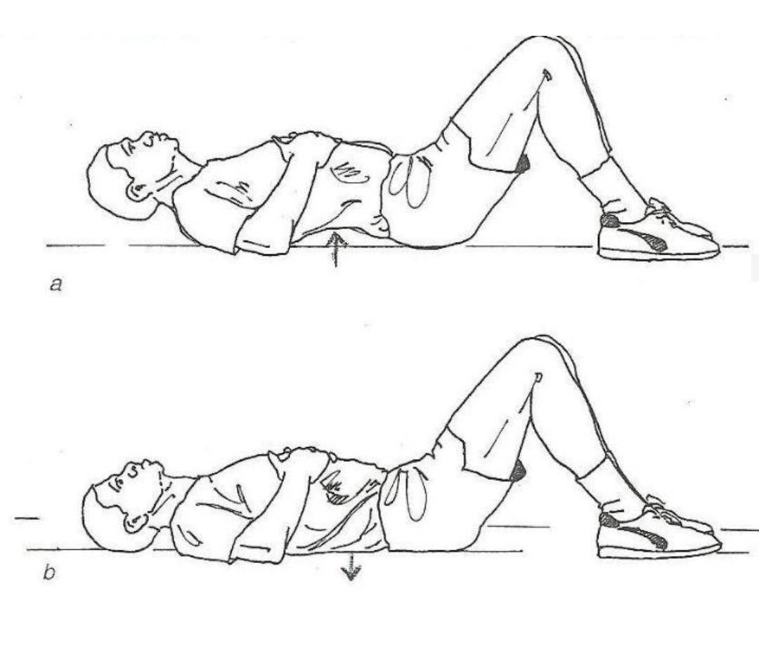 코어 근육이 아예 없어서 플랭크 크런치 못하 는 사람에게 추천하는 운동 (누워있는 사람 맞춤형 운동임 일어날 필요 전혀 없음) | 인스티즈