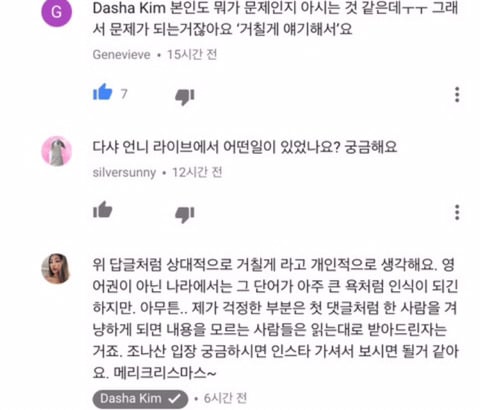 bitch가 영어권에서 고객한테 써도 되는 말이야?(유투버 다샤) | 인스티즈
