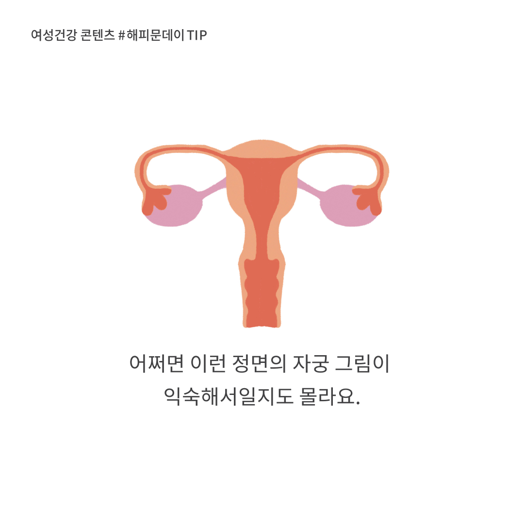 탐폰 사용자가 아니어도 알고 있으면 좋은 상식 | 인스티즈
