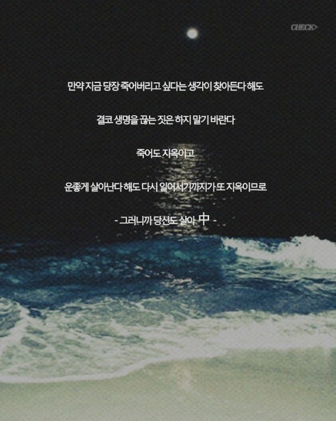 공부자극짤 품+인생자극 | 인스티즈