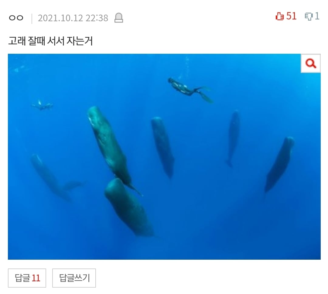 살면서 본 충격적인 심해/우주/인체썰 댓글 | 인스티즈