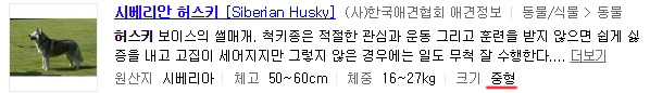 ＜중형견의 크기에 대해 알아보자＞ | 인스티즈