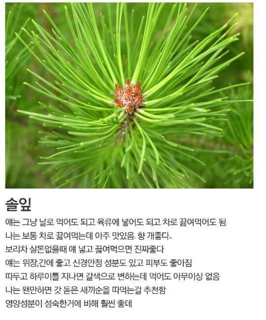 흙수저 갤러리 올타임 레전드......가난그릴스.....JPG | 인스티즈
