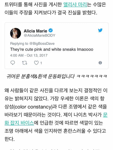 색깔 논란있었던 신발 정답 | 인스티즈