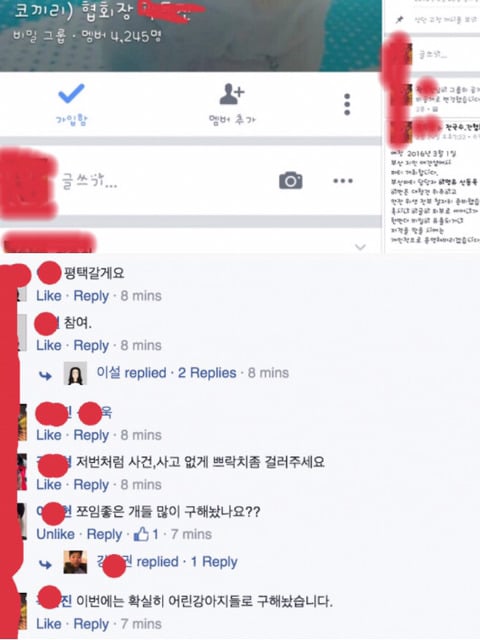 구글에"강아지랑 하기"를 검색하면 (혐오주의) | 인스티즈