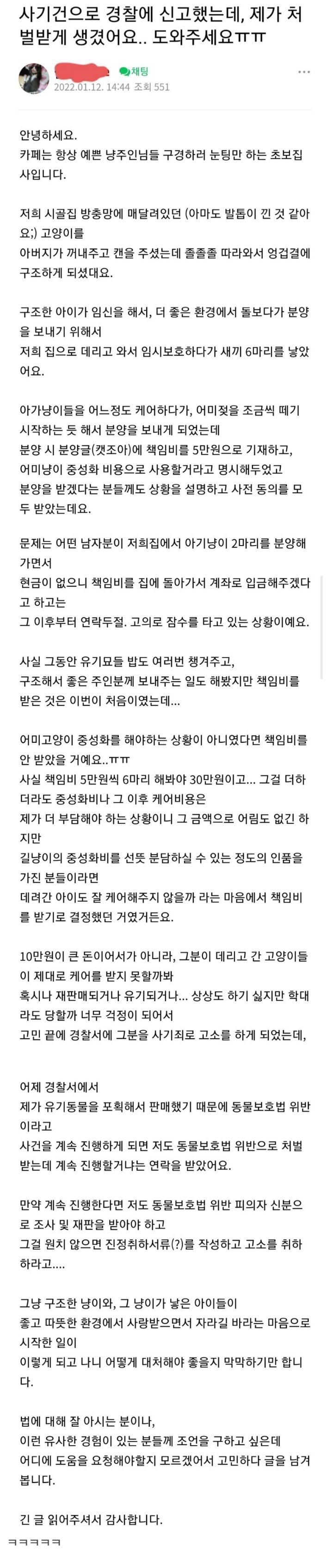 책임비 받던 캣맘 역관광 ㅋㅋㅋ.jpg | 인스티즈
