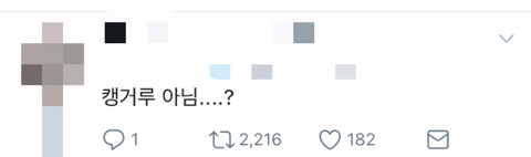 나를 반겨주는 귀여운 푸들 | 인스티즈