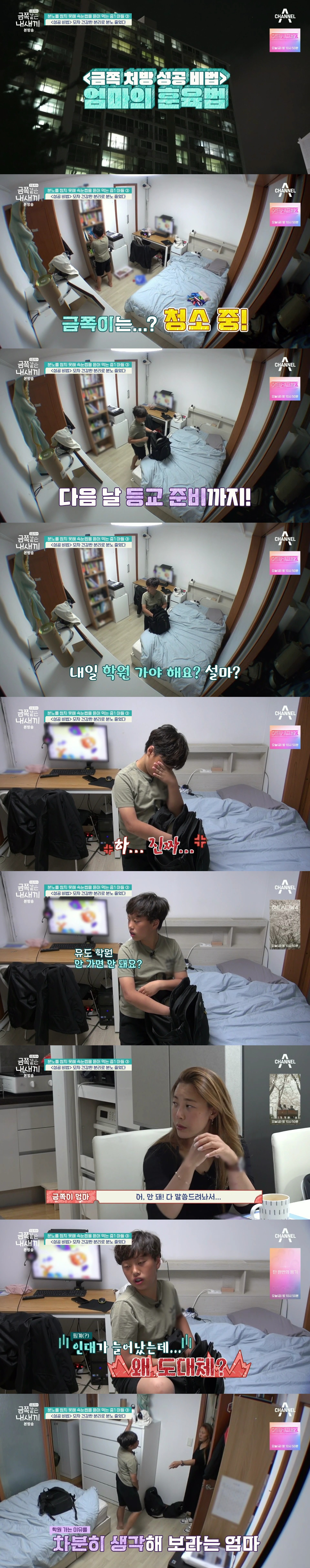 절대로 개선되지 못할거라는 반응 많았던 역대급 금쪽이의 놀라운 변화.jpg | 인스티즈