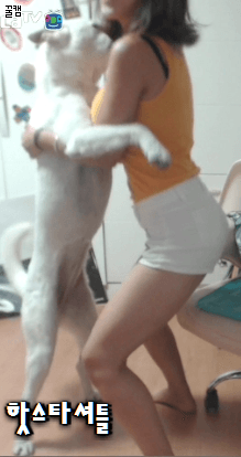 BJ 홍비.gif | 인스티즈
