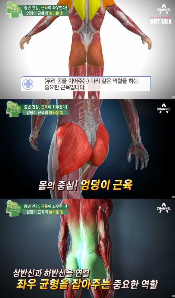 힙업 운동의 중요성 + 엉덩이 근육 자가 테스트 | 인스티즈