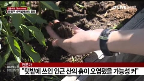 서울 광진구 바퀴벌레 근황 | 인스티즈