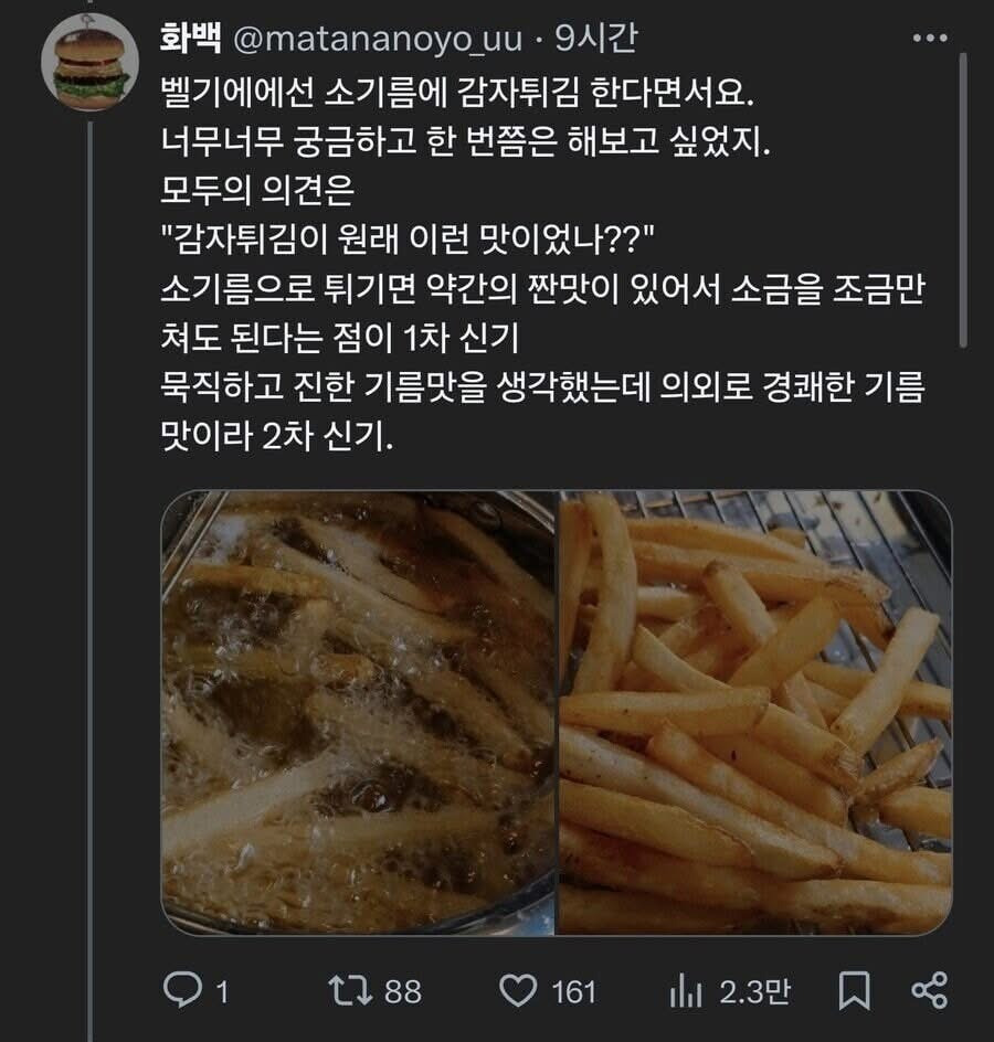 소기름으로 고로케, 감자튀김, 볶음밥 해먹은 후기 | 인스티즈