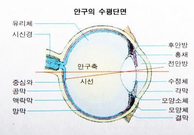 라식 라섹 부작용 후기들 | 인스티즈