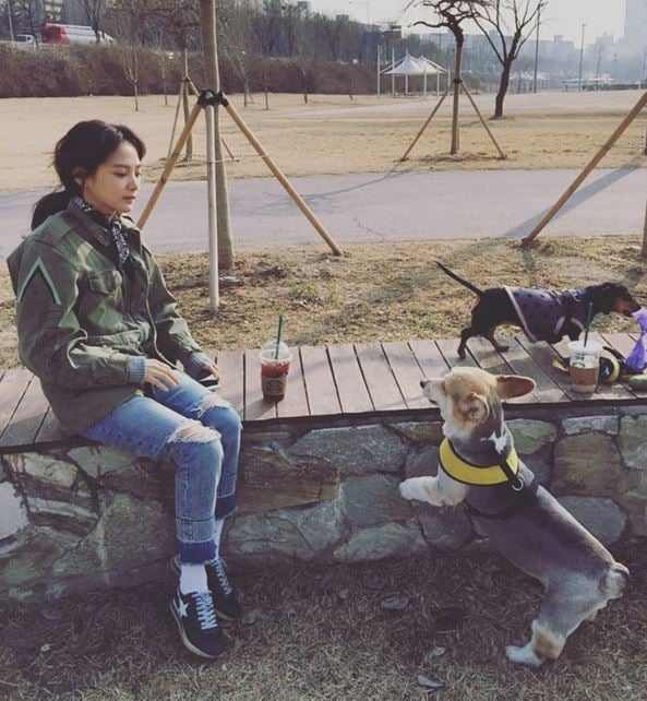 팬 아닌데도 저장한 연예인 여친짤 모음.jpgif | 인스티즈