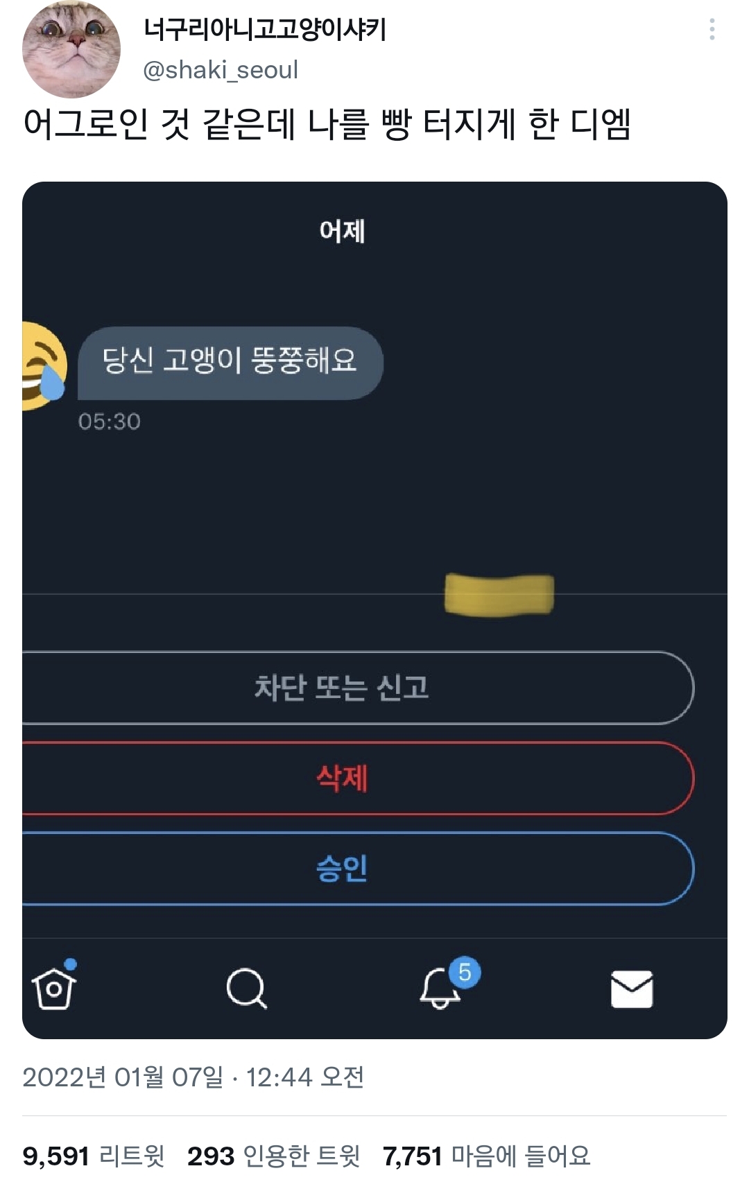 당신 고양이 뚱쭝해요.twt | 인스티즈