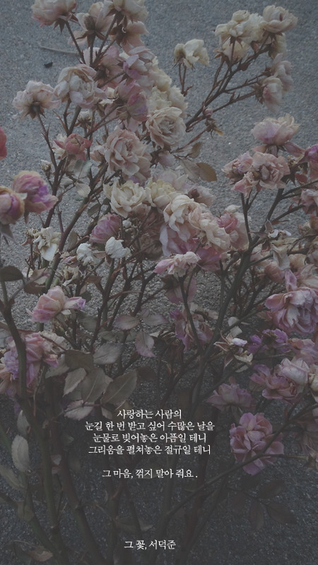 개인적으로 너무 좋아하는 서덕준시 모음.jpg | 인스티즈
