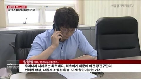 서울 광진구 바퀴벌레 근황 | 인스티즈