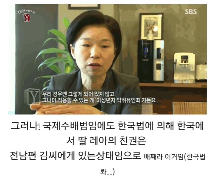 프랑스 아동 납치법으로 국제 수배 지명 상태에 놓인 김씨 (슬픔주의) | 인스티즈