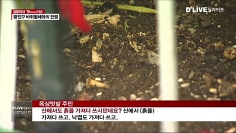 서울 광진구 바퀴벌레 근황 | 인스티즈