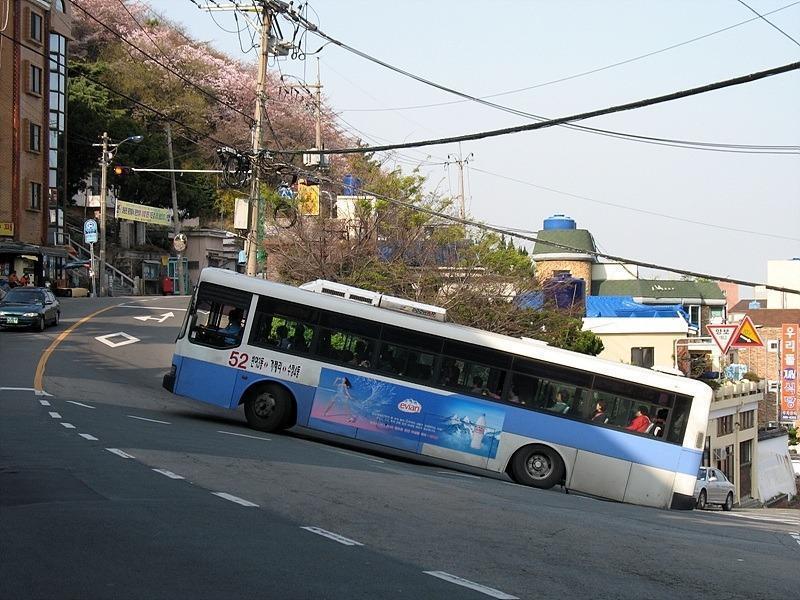 부산버스의 위엄 | 인스티즈
