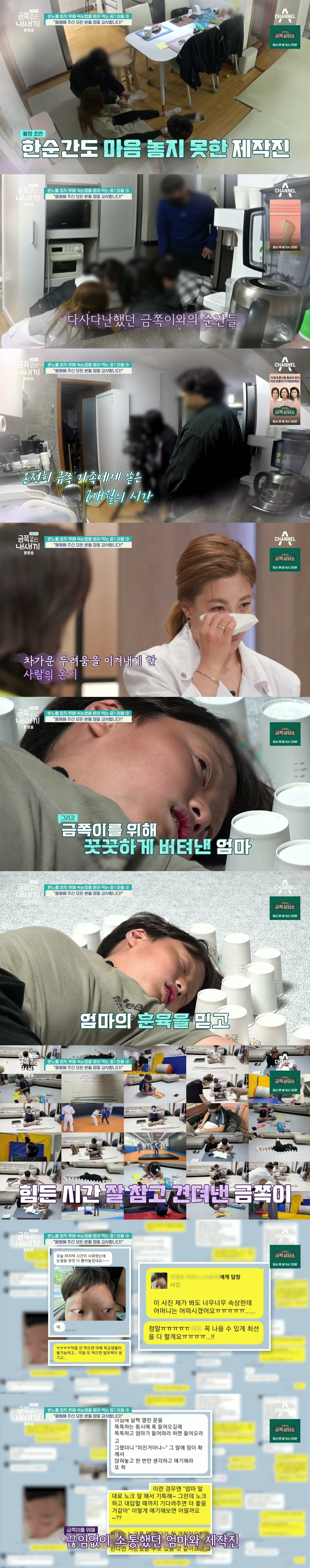 절대로 개선되지 못할거라는 반응 많았던 역대급 금쪽이의 놀라운 변화.jpg | 인스티즈