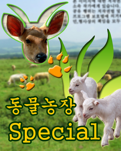 처음 보면 경악한다는 포토샵 시험문제 | 인스티즈