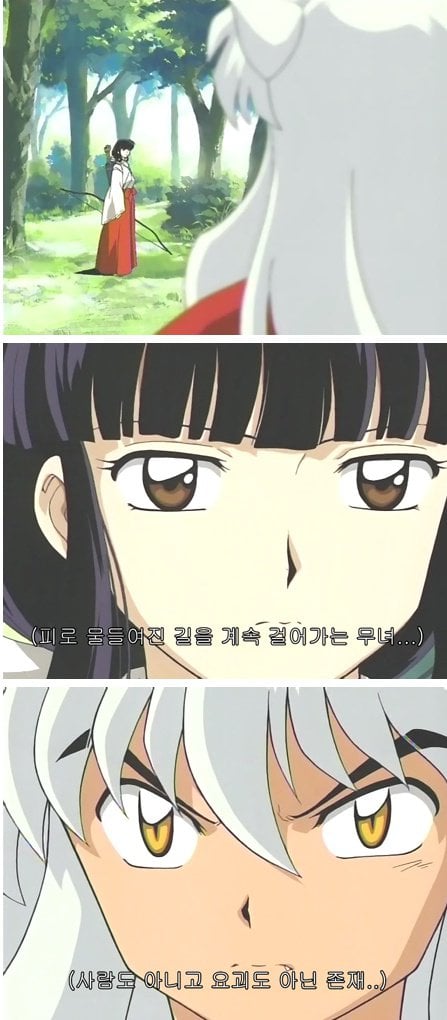 이누야샤와 금강이 서로 사랑할 수 밖에 없었던 이유 | 인스티즈