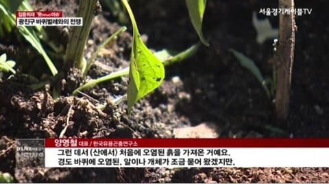 서울 광진구 바퀴벌레 근황 | 인스티즈