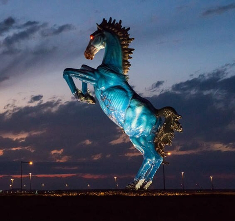 정말 그럴듯한 미국 공항 괴담 (음모설) | 인스티즈