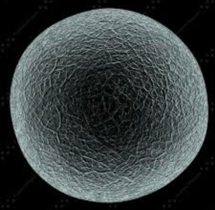 질내사정 전후 난자의 모습 | 인스티즈