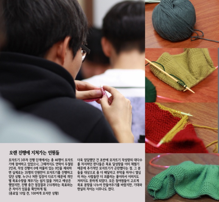 에이핑크 남덕들이 뜨개질을 한 이유 (210개의 털모자) | 인스티즈