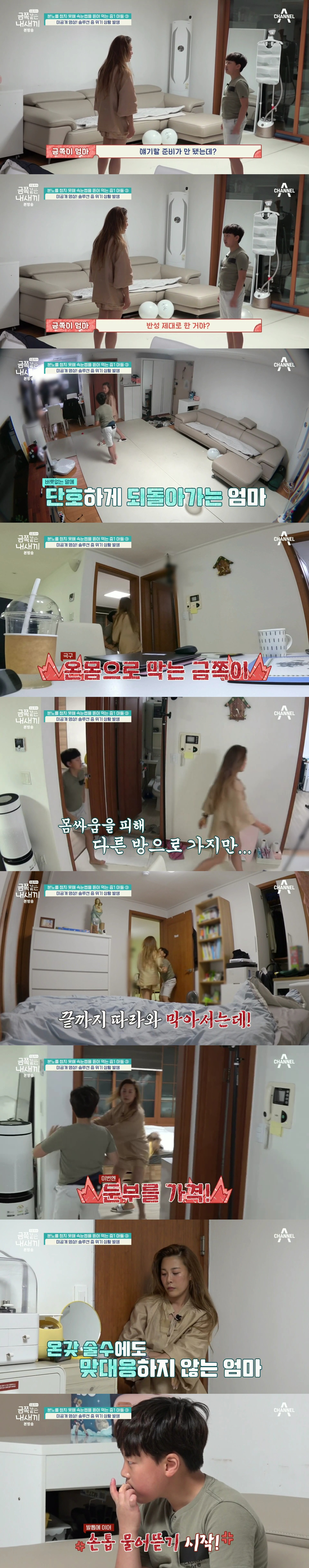 절대로 개선되지 못할거라는 반응 많았던 역대급 금쪽이의 놀라운 변화.jpg | 인스티즈