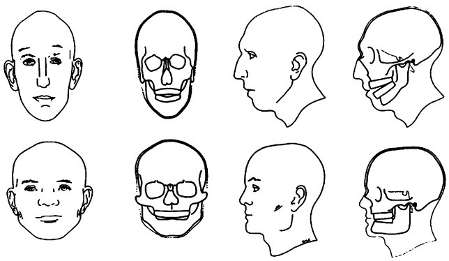 동양인이 서양인보다 얼굴이 커 보이는 이유 .jpg | 인스티즈