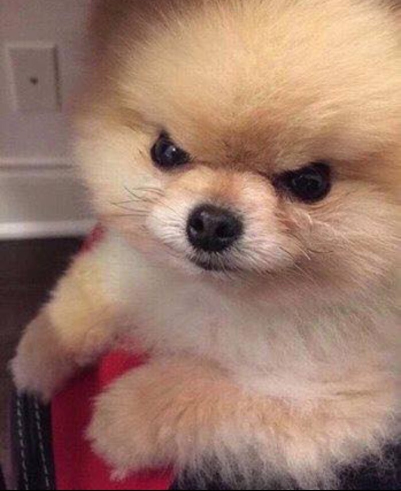 쩌리 업로더 간접체험 해보는 달글 | 인스티즈