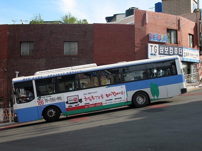 부산버스의 위엄 | 인스티즈