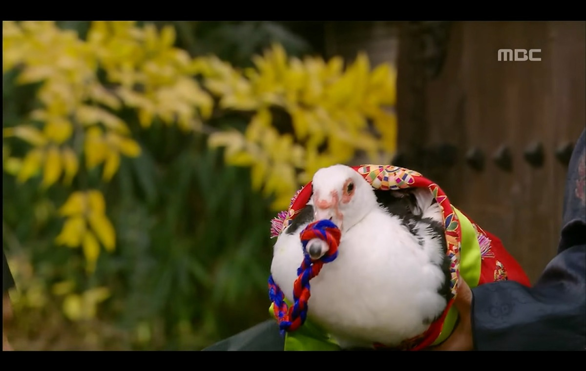 드라마 궁 속 국혼 장면 | 인스티즈