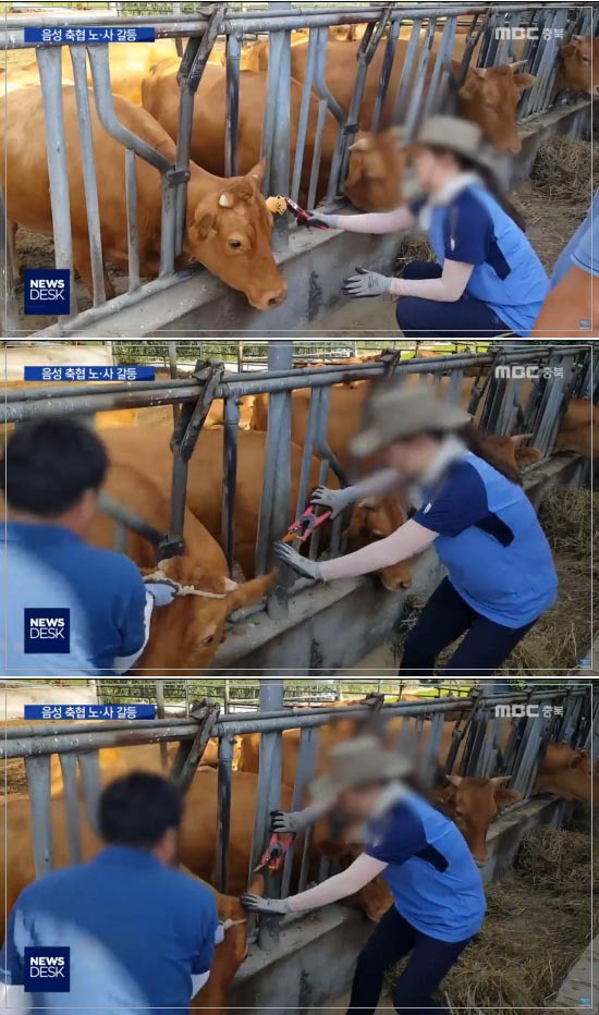 걸스 캔두 애니띵???은 개뿔. . | 인스티즈