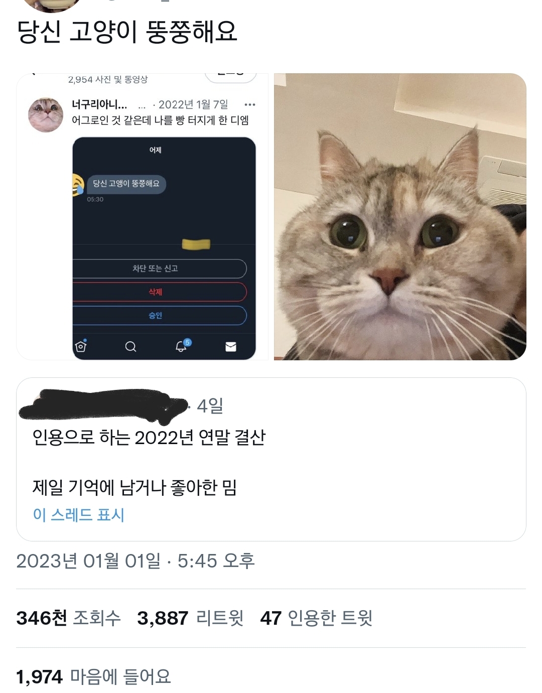 당신 고양이 뚱쭝해요.twt | 인스티즈