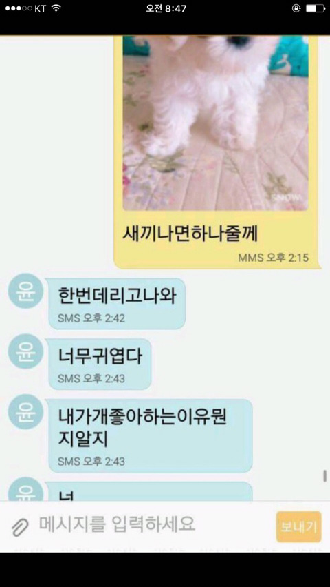 강아지사진보내제발.jpg | 인스티즈