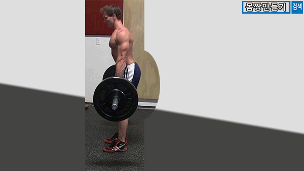 데드리프트(Deadlift)의 종류 - 1편 (컨벤셔널, 루마니안, 스티프 레그, 스모) | 인스티즈