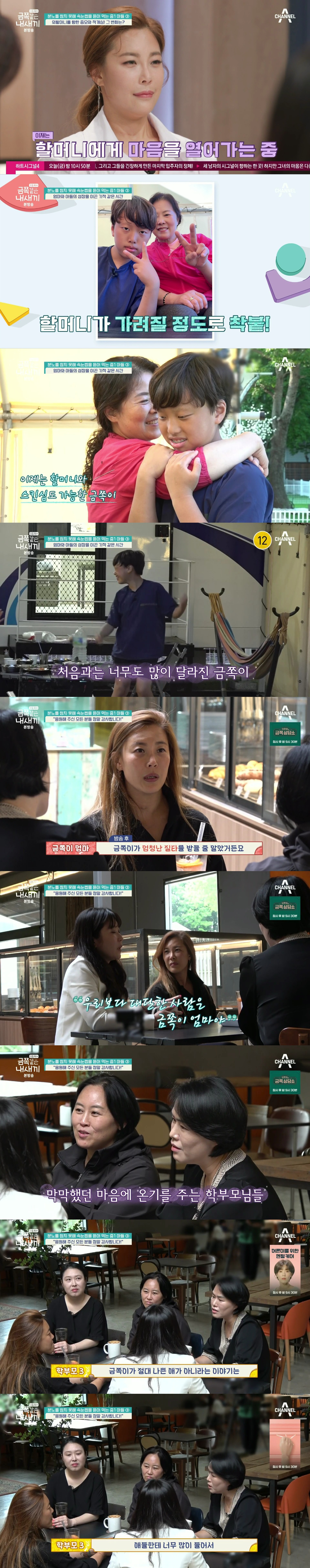 절대로 개선되지 못할거라는 반응 많았던 역대급 금쪽이의 놀라운 변화.jpg | 인스티즈